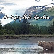 Bearviewinginalaska.com offers full-day and half-day guided bear tours in Alaska