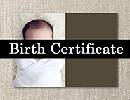 21+ Birth Certificate Form Templates | Free Printable Word & PDF