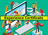 10+ Experience Certificate Formats | Free Printable Word & PDF