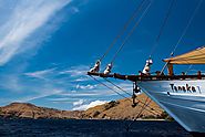 The Good and Down Side of Sailing in A Komodo Liveaboard | Centcofee