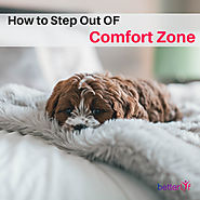 How to Step out of Comfort Zones? know The Best Ways.