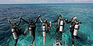 Foolproof Way to Arrange Scuba Diving Holidays for Beginners! - Thuyloi4a