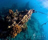 This Diving in Amed Bali Will Awe You for Days! | Kamloopsweddingcakes