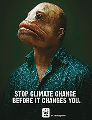 cambio climático