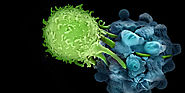 Know About the Immunotherapy for Cancer Treatment