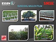 Suncool Mulch Film |authorSTREAM