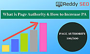 What is Page Authority | How to Increase PA | Reddy SEO