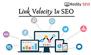 What is Link Velocity in SEO & How to Calculate Link Velocity | Reddy SEO