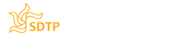 Individual tax preparation services San Diego - SDTP
