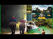 Trip Viet Travel — Nature Tours is a special journey for those who...