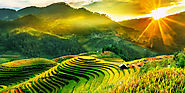 Vietnam Private Tailor-made Tour Holiday Packages
