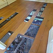 Termite repairs on a Hoop Pine floor