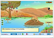 "El camaleón y las moscas" (Juego de Probabilidad) | 6º Primaria Matemáticas | Pinterest | Math numbers, English game...