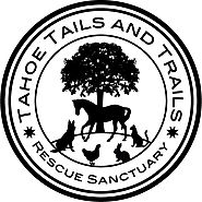Tahoe Tails & Trails | Dog Boarding | Doggy Day Care, Dog Kennels & Boarding, Pet Sitting South Lake Tahoe, NV CA