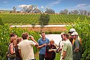 Best Fredericksburg Texas Classic Wine Tasting Tours |ACWineTours