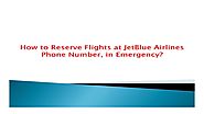 JetBlue Airlines Phone Number - Book Cheap Flight For New Year Celebration