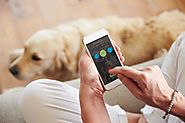 Useful Best Mobile Apps for Pet Owners