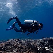 8 Reasons Why We Love Scuba Diving