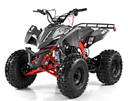 Unleash Your Inner Adventurer: Discovering the Best 4 Wheelers in Dallas