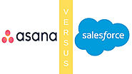 asana vs salesforce