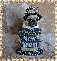 National Pet Owners Association — Happy New Year 2019