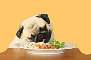 National Pet Owners Association - Dog Diet & Nutrition