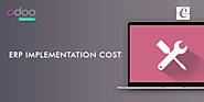 ERP implementation Cost (Odoo Implementation)