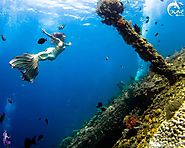 Le lieu idéal pour la Bali Plongée Épave | Chambre - Hotte