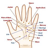 Palm Reading Services