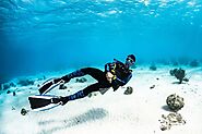 What You Need to Know for Scuba Diving Vacations for Beginners - Offensefilms