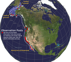 Gray Whale Migration Route Map
