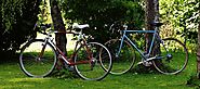 Curiosities of the tips - bicycle facts and statistics - Trek bike reviews