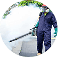 Carpet Water Extraction Melbourne | Wet Carpet Drying Melbourne