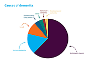 Causes and Prevention of Alzheimer’s and Dementia disease