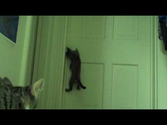 Buzz opens the bedroom door