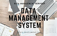 One Of The Best Data Management services In USA