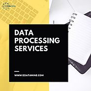 Offshore Data Processing Services and Image Processing Services