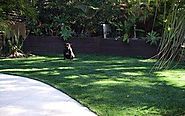 Synthetic Grass | Synthetic Landscaping - Xtreme Turf
