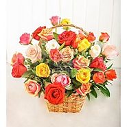 Ruby Colorful Basket