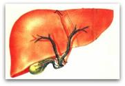 Best Liver Body organ Purify Procedure