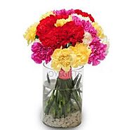 Sweet Carnations