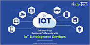 IoT Development Services – A New Way to Enhance Your Business Proficiency