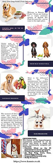 Best Diet Dog Food | Free Delivery