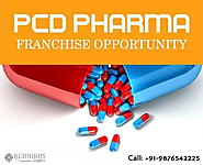 Top PCD Pharma Franchise Companies – A Great Way to Reap Great Returns and Benefits