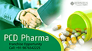 Getting Success in PCD Pharma Franchise Business in India