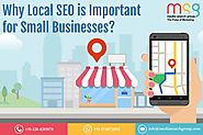 Importance of Local SEO for Small Businesses – Leading Digital Marketing Company | Web Development Agency- Media Sear...