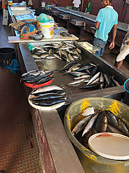 Fish market on Cabo Verde islands