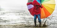 iStock Photos, images, clips musicaux et vidéos libres de droits - iStock - iStock FR