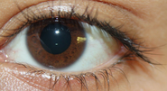 eye medicine improve eyesight