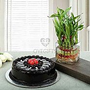 Truffle Cake N Lucky Bamboo Gifts